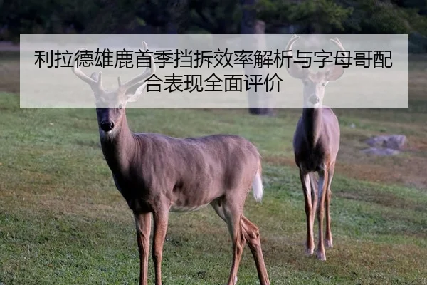 利拉德雄鹿首季挡拆效率解析与字母哥配合表现全面评价