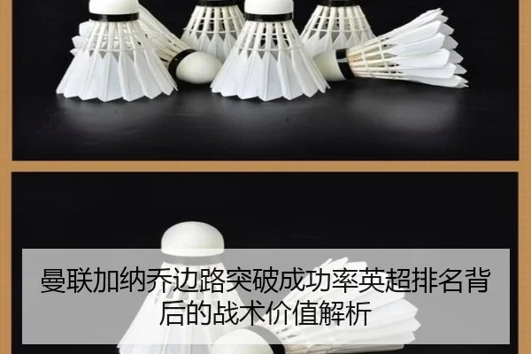 man-lian-jia-na-qiao-bian-lu-tu-po-cheng-gong-lv-ying-chao-pai-ming-bei-hou-de-zhan-shu-jia-zhi-jie-xi-2-880.jpg